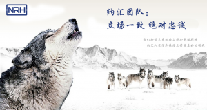 一色桃子中文字幕的團隊精神